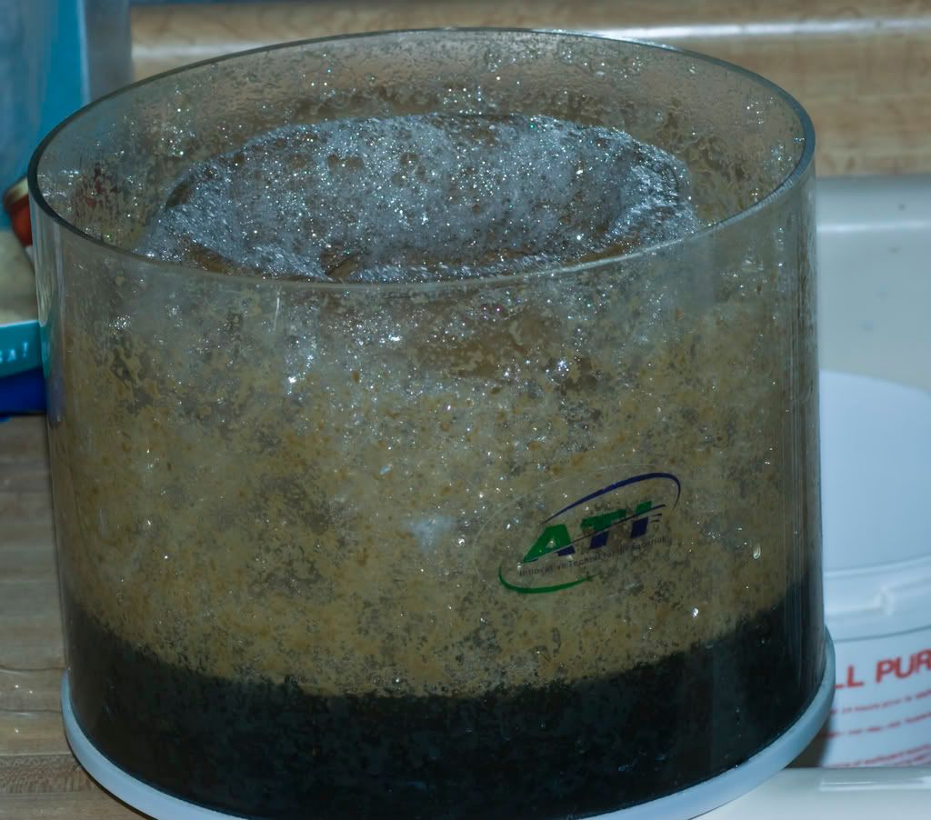 Wet Skim VS Dry Skim Reef Central Online Community